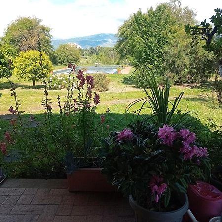 Casa Pratolungo Guest House Velletri Bagian luar foto