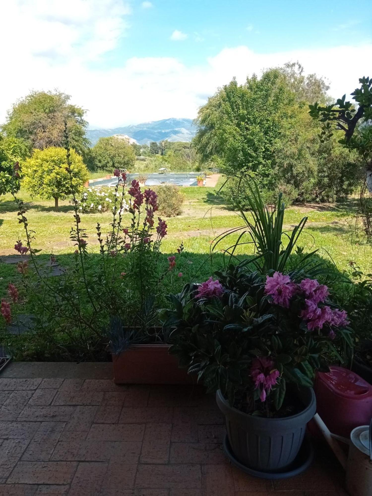 Casa Pratolungo Guest House Velletri Bagian luar foto