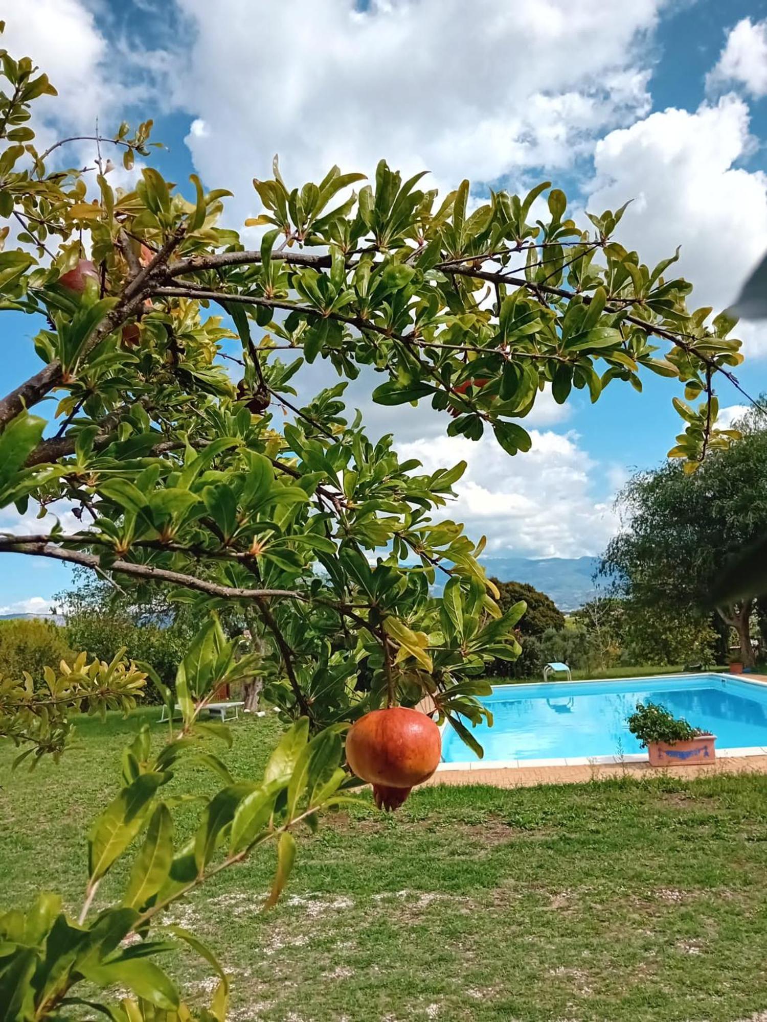 Casa Pratolungo Guest House Velletri Bagian luar foto